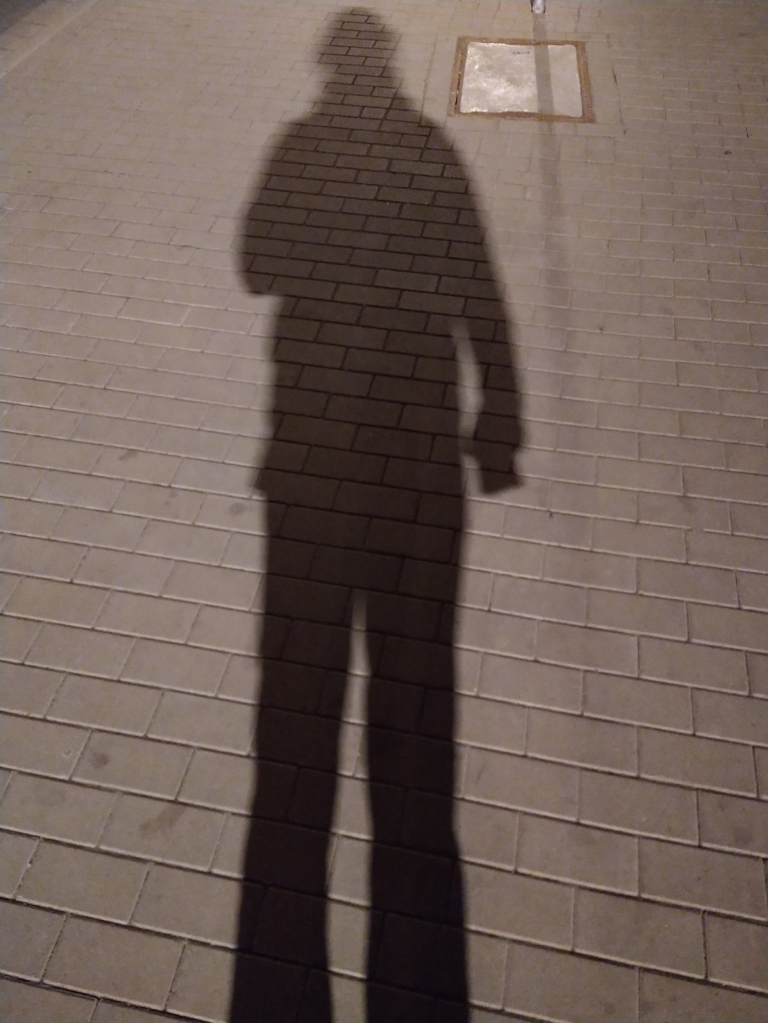 Schatten von mir